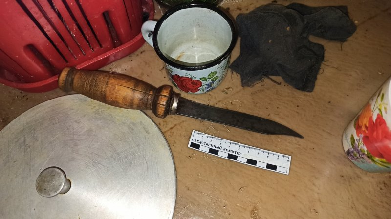 Зарезал назойливую гостью: 13 лет колонии дали жителю Кандалакши