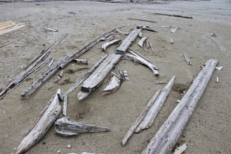 Остатки старинного поморского судна вывезли с Новой Земли