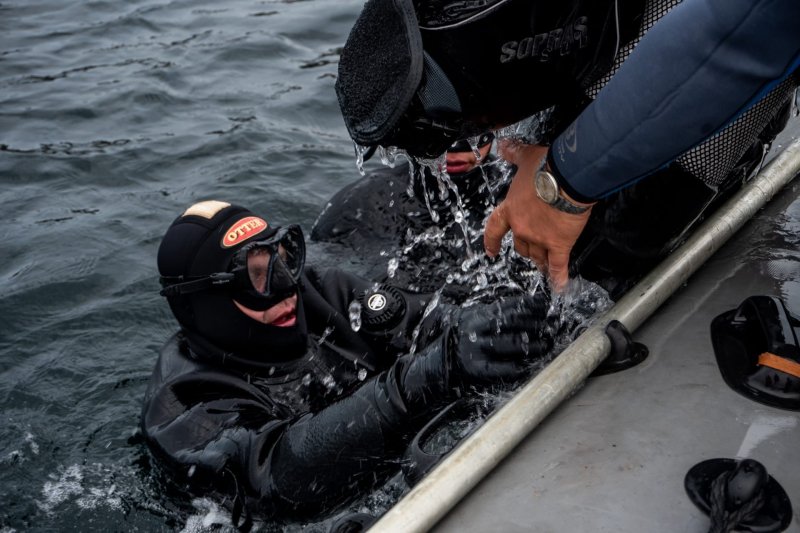 Четырехсотметровый канат нашли в море возле Дальних Зеленцов