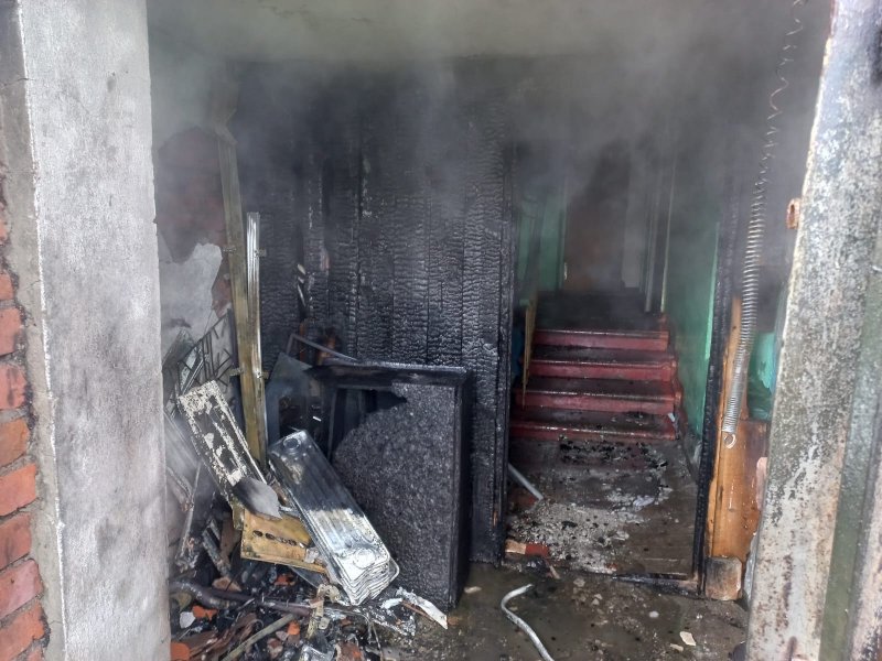 Двоих человек и собаку со щенками спасли при пожаре в Молочном