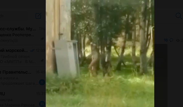 Голый мужчина бегает по Росте в Мурманске