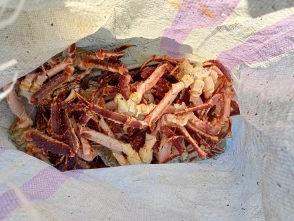 Заполярных полицейских обвиняют в крабовом браконьерстве