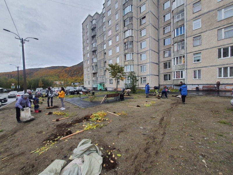 Озеленили двор жители Кировска