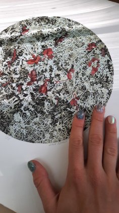 На серию литографий туристку вдохновил полуостров Рыбачий