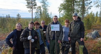 Почти 10 тысяч деревьев высадили в Мурманской области
