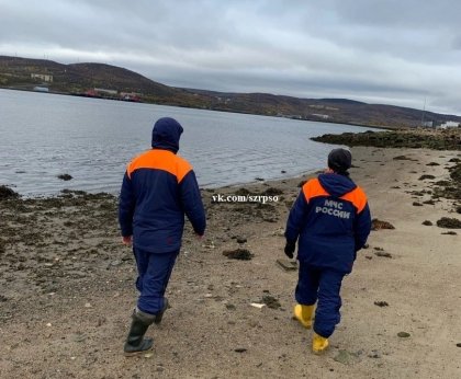 Спасатели и кинологи ищут упавшего с Кольского моста человека