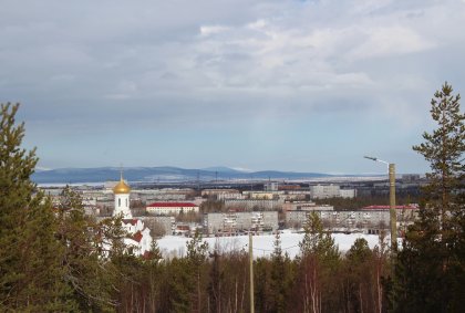 Пес накинулся на ребенка: хозяина обязали заплатить за моральный вред в Мончегорске