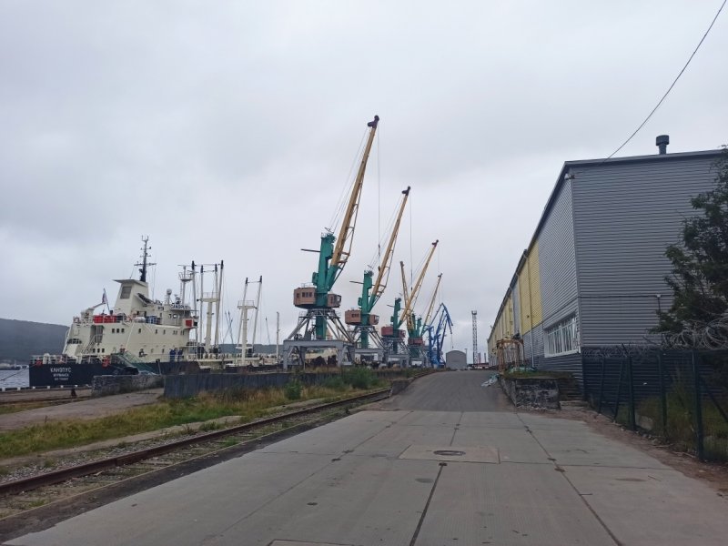 Червивую треску обнаружили на предприятии в Мурманске