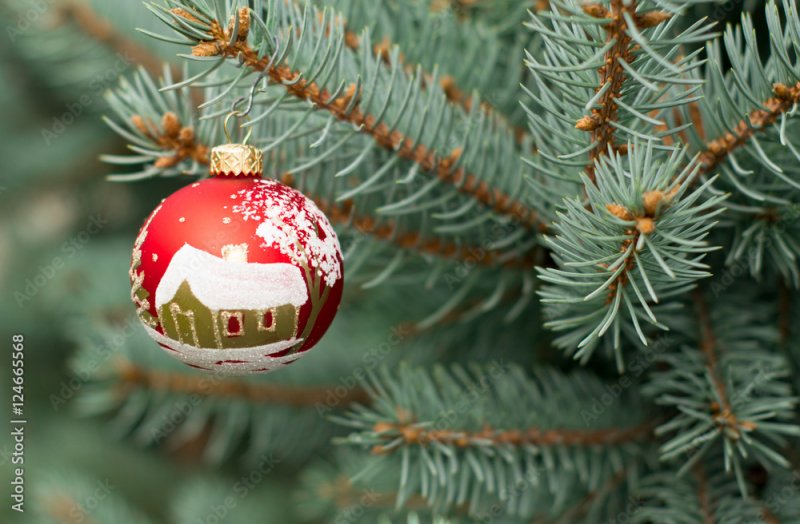 Новогоднюю ель устанавливают в сквере Оленегорска