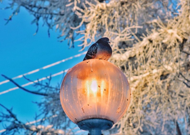 Снег и -23° ожидаются в Мурманске