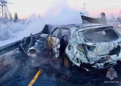 Погибли 8 и пострадали 70 человек за месяц в ДТП в Мурманской области