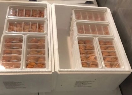 Первая партия охлаждённой икры морского ежа отправлена в ОАЭ из Мурманской области