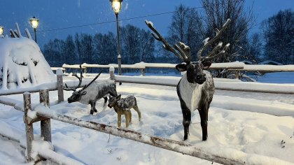 Этнографический комплекс заработал в Туломе 