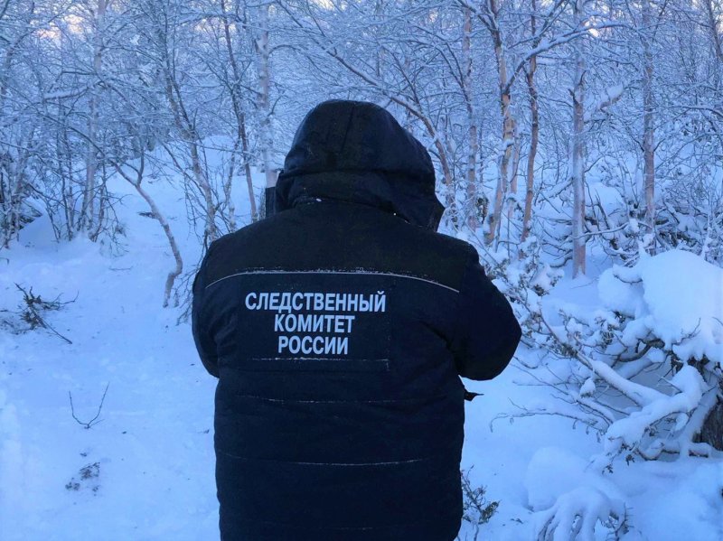 Без внешних признаков насильственной смерти: нашли в лесу пропавшего жителя Колы