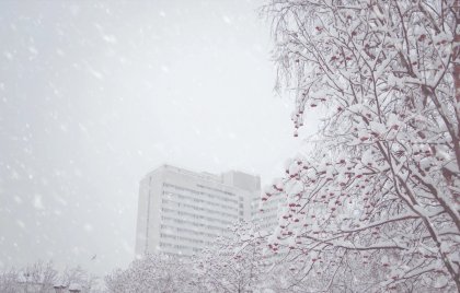 Метель и гололедица в Мурманской области