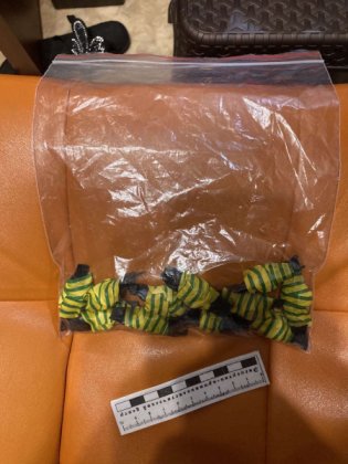 Тайники с наркотиками оборудовал апатичанин