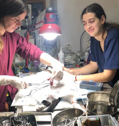 Помогли купить оборудование ветврачу из Мариуполя мурманчане