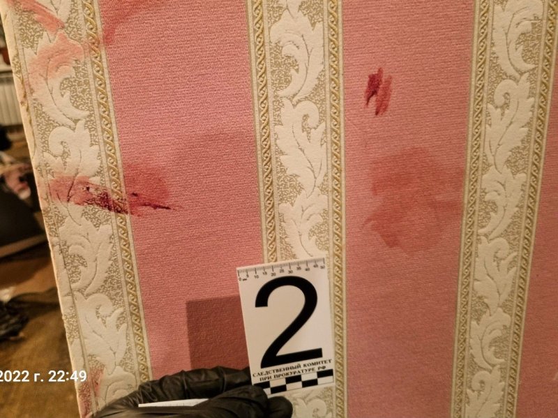 Убил 82-летнюю мать в Мончегорске: 12 лет тюрьмы получил житель северной столицы