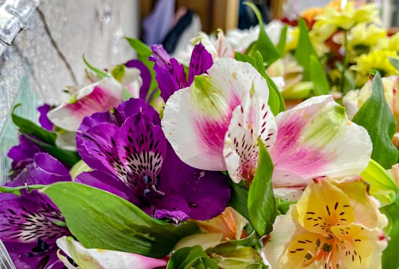 170 концертов пройдет в честь Международного женского дня в Заполярье