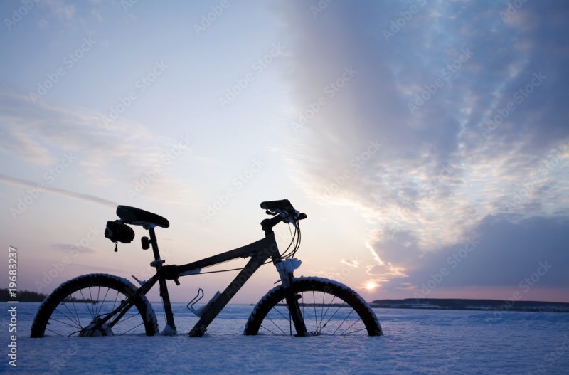 Угнал велосипед в Коле, чтобы добраться до Мурманска