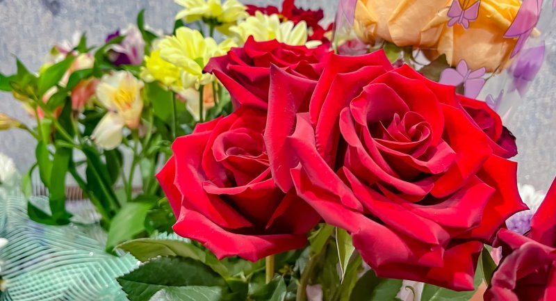 Игорь Морарь: «Мурманчанки - невероятные женщины»