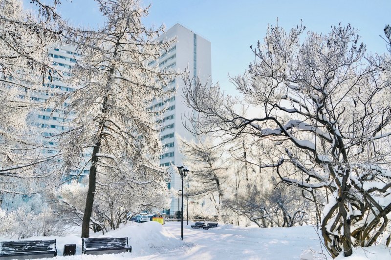 Потеплеет в конце недели в Мурманске