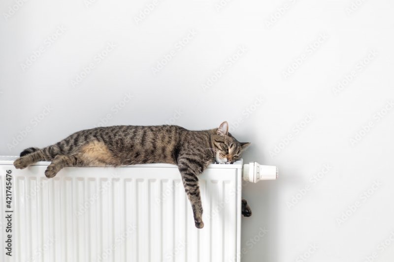 Отопление и горячая вода исчезли в домах Североморска