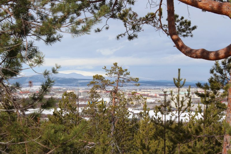 Загадывать желания советуют сегодня в Мурманской области