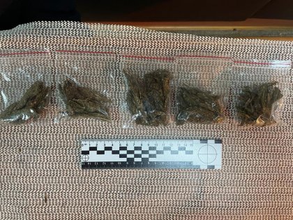 Контрабанду наркотиков пресекли на иностранном судне в Мурманске