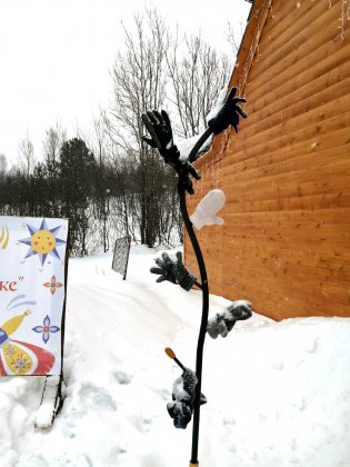 «Дерево потеряшек» «выросло» в Мурманске