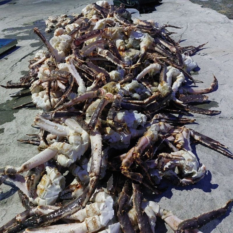 2 автомобиля и 52 брикета с крабом изъяли у браконьеров в Мурманске