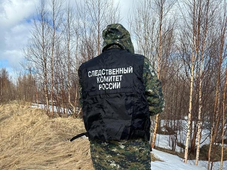 Добивал приятеля молотком: уголовное дело рассмотрит суд в Оленегорске