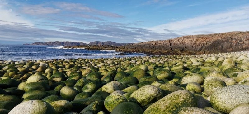 С 1 июня хотят сделать платным посещение природных парков и заказников в Мурманской области