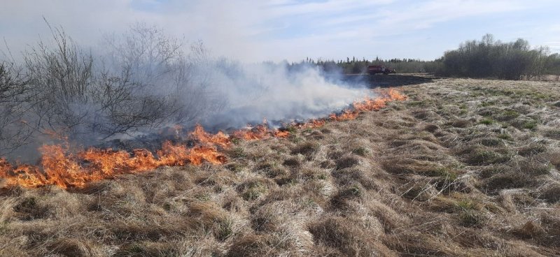 Горели лес и сухая трава в Мурманской области