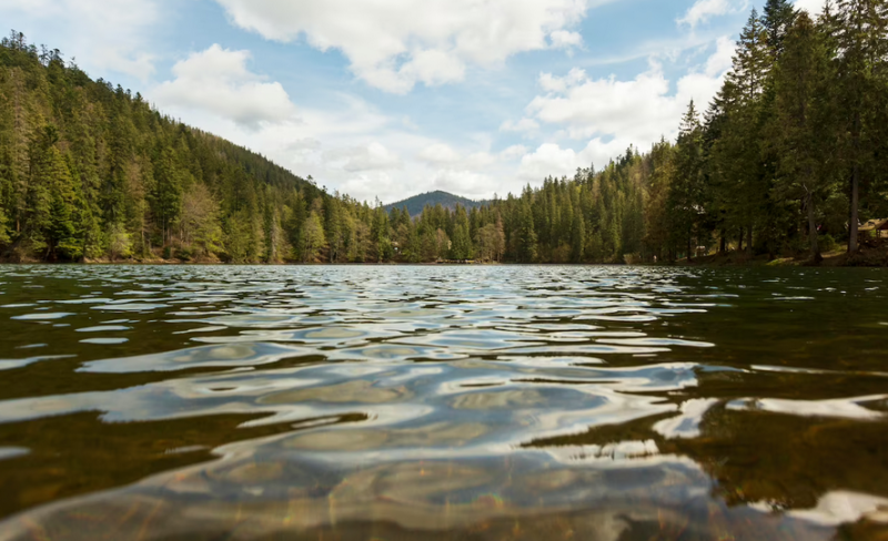 Научные исследования по разработке технологии гибридной очистки сточных вод прошли в Ковдоре