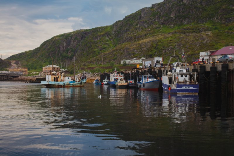 «Берег горбуши» проведут в Умбе на выходных