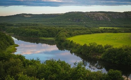 Продлено ограничение пребывания людей в лесах в Мурманской области