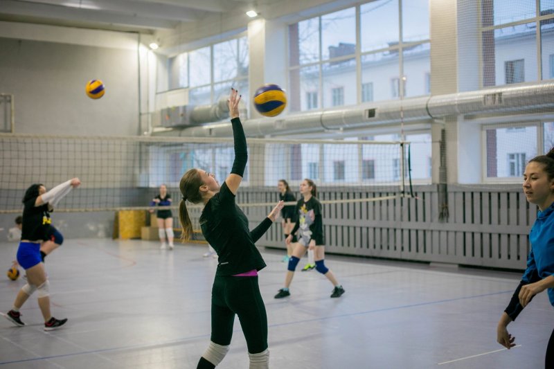 Фестиваль «Семейная команда» пройдет в Мурманской области