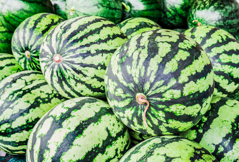 50 кг арбузов разыграют на фестивале «Экватор лета» в Мурманске