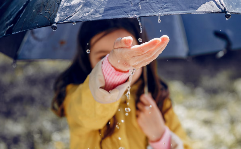 Сильные ливни, ветер и грозы в выходные в Мурманской области