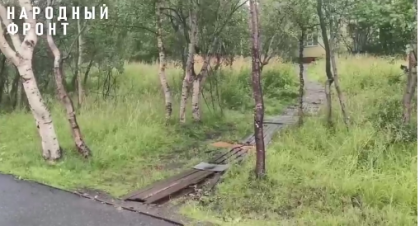 Поранила ноги северянка в городском парке Североморска