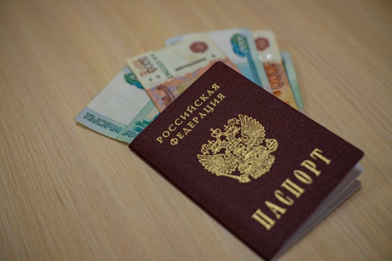 Два предприятия задолжали зарплату работникам: уголовные дела возбуждены в Снежногорске