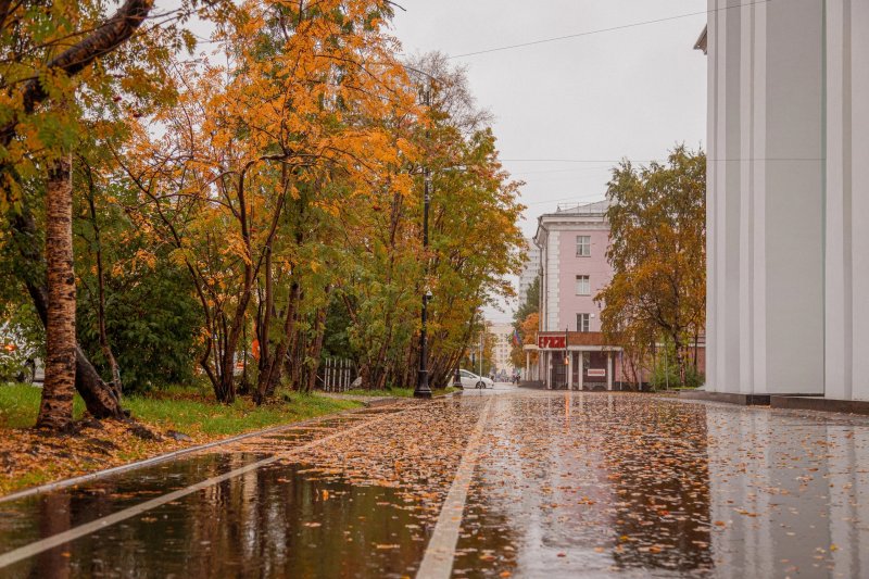 Сентябрь 2023-го может стать самым теплым в истории Мурманска