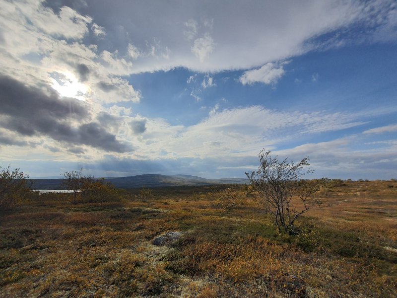 До -2° похолодает в начале октября в Мурманске