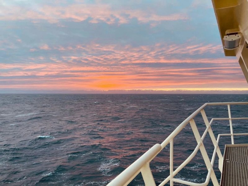 Агрессивный морж напал на судно туристов в Арктике