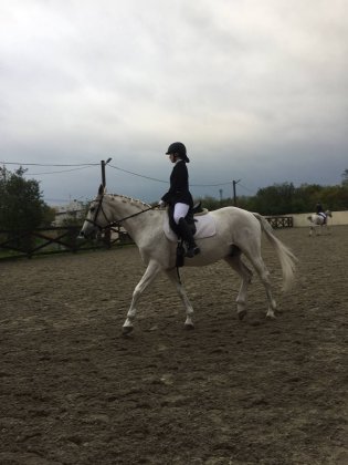 Первенство региона по конному спорту прошло в Коле