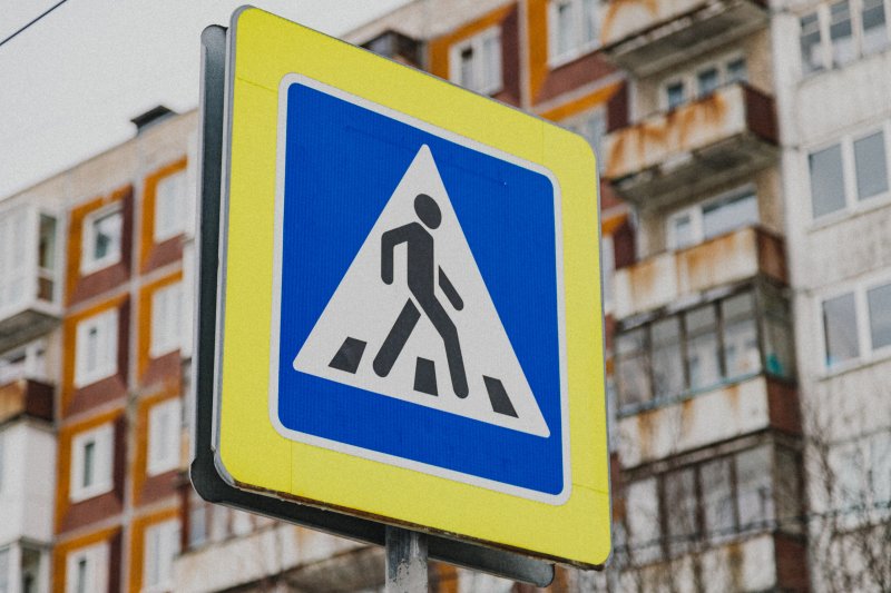 В Мурманске автобус сбил мужчину с собакой 