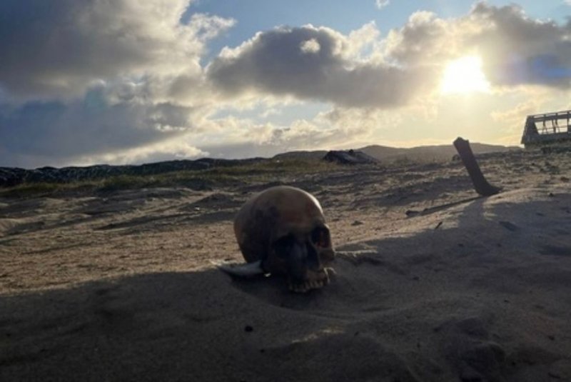 Человеческий череп нашли на побережье Териберки