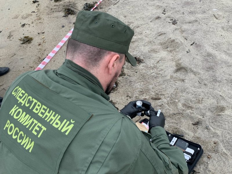 По факту обнаружения человеческих останков Следком проводит проверку в Териберке
