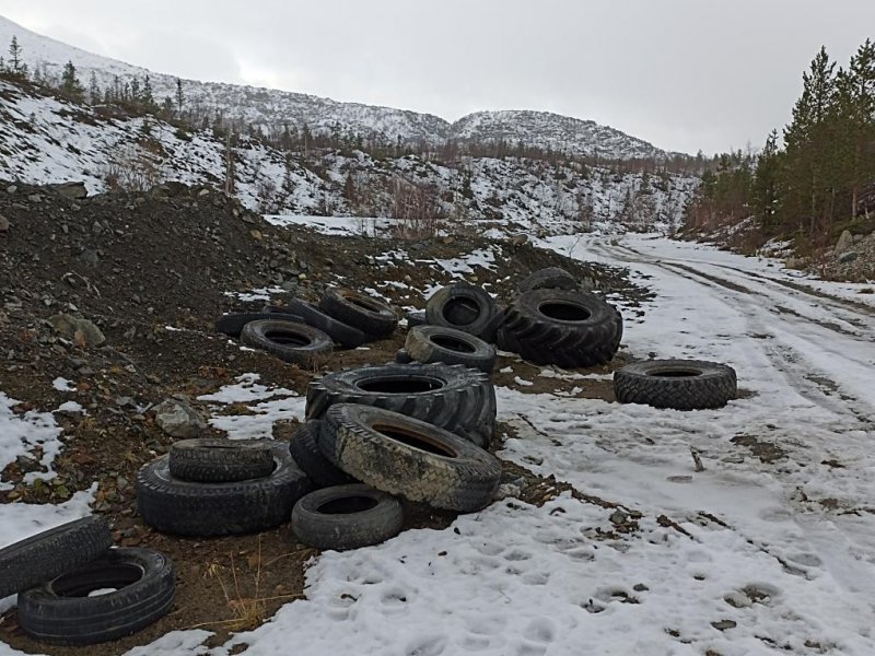 Закрыли глаза на свалку шин коммунальщики в Мончегорске